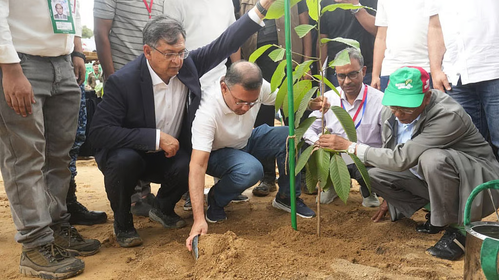 সন্তানের ভবিষ্যৎ চিন্তা করে একটি করে গাছ লাগান প্রধানমন্ত্রী
